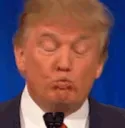 trump_gif_bopping