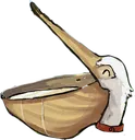 pelican