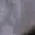 roll_2_3