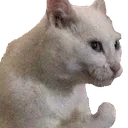 CatChefKiss