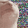 wA6CatVibe Discord Emoji