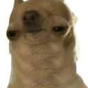 Bro