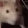 ratJAM ratJAM