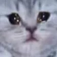 kitcry