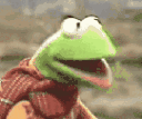 KermitBikeCrash Discord emoji