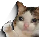 Sadcatthumbsup Sadcatthumbsup
