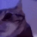 ch_spazms
