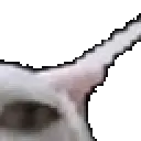 bigwesh2 bigwesh2