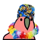 zoukParrot