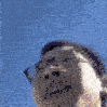 idkeRun Discord emoji
