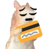 squirrelKakinPensive