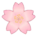 CherryBlossom