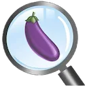 dickmagnify