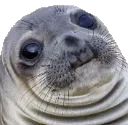 Seal Seal