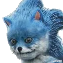 sanic