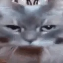 catDeparture