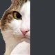semicatThink