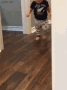 oop_nevermind
