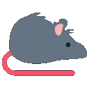 ratspin ratspin