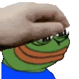 frogpats