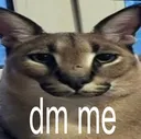 SCfloppaDMme SCfloppaDMme