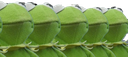 KermitArmy Discord emoji