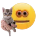 Cat Emoji Discord Emoji
