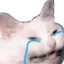 cri cri
