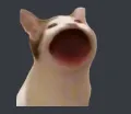 Popcat popcat Discord Emoji