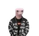 drip_bingus drip_bingus
