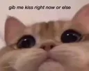 or_else