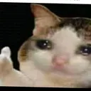 Sad Cat sad_cat Discord Emoji