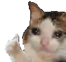 thumbsupsadcat thumbsupsadcat
