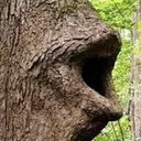 LogChamp
