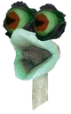 POGGERSplant