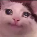 Sadcat Discord Emoji