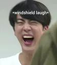 e_jin_windshield_donotsteal