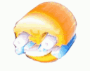 HAHA Discord Emoji