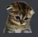 sad Discord Emoji