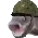 warfish