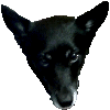 dealwithit1