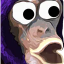 pog pog
