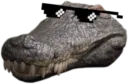 dealwithit