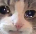 cataw