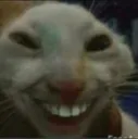 TOE