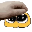 Pet
