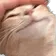 sitristroke