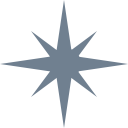 Steel_gray_star Discord emoji