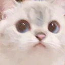 wutcato