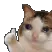 wegud